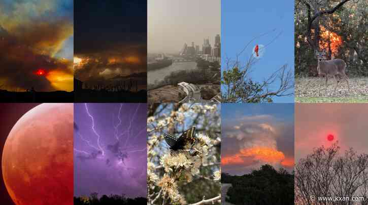 Photo of the Month poll: Help us choose the best viewer photo of March 2025