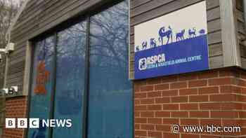 Bright future for RSPCA centre saved by community
