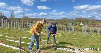 Hier wordt gewerkt aan een kunstwerk van 336 schilderijen, het is pas klaar in augustus