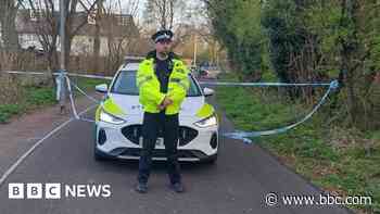 Murder arrest after man fatally hit by car