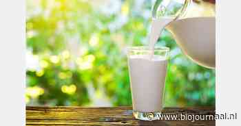 Eko-Holland melkprijzen stijgen met 1 euro in april 2025