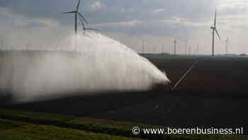 Beregenen in Flevoland lastiger na vondst bruinrot