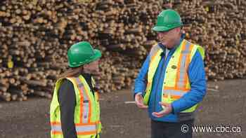 B.C.'s forest industry looks for new opportunities as U.S. tariffs threaten knockout blow
