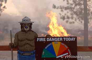 Here Are Important Tips How To Prevent Wyoming Wildfires
