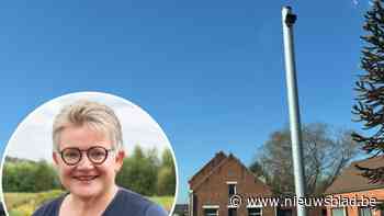 Trajectcontroles in Lierse Spreet werken zeven maanden na plaatsing nog steeds niet: “Wat is de functie van palen die niets meten?”