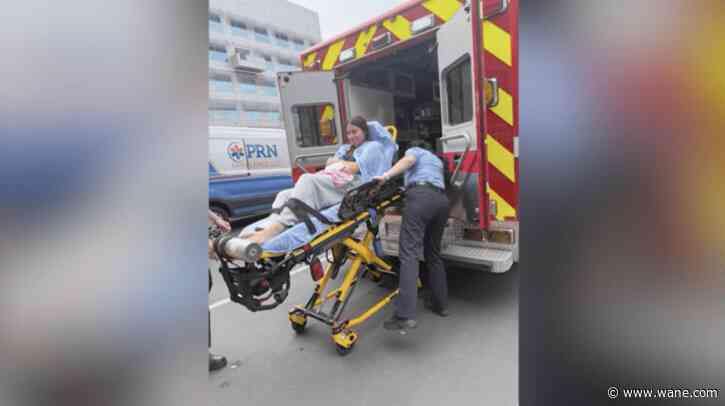 Aggressive sea lion attacks 15-year-old girl in Southern California waters