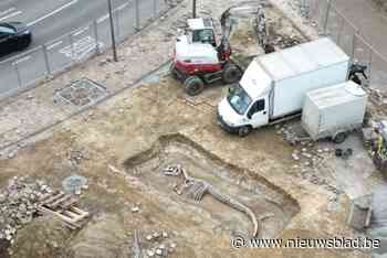 Alexander De Croo als kandidaat rector, een dinosaurusskelet gevonden bij werken, en een heraanleg met kasseien op de Smeysberg: dit zijn de beste 1 aprilgrappen uit de regio