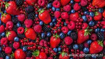 Food Cabinet voert Europese campagne voor bessen en bramen