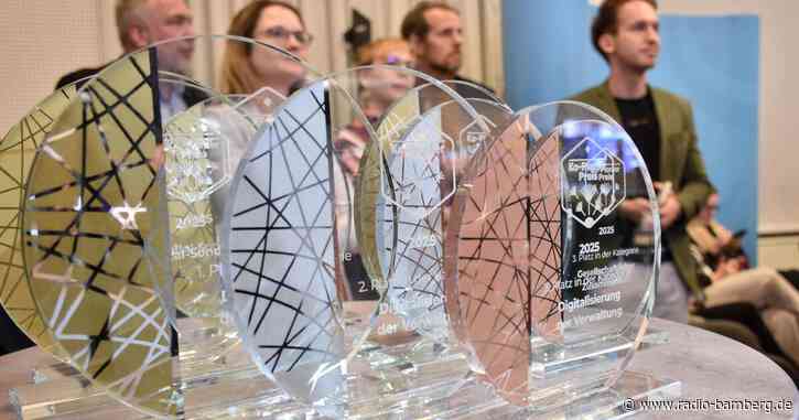 Bambergs Bäume sollen gesund bleiben