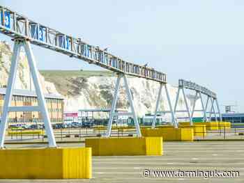 NFU calls for cross-government biosecurity plan to protect UK farmers