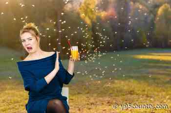 If You Hate Wyoming Bugs, Try These Useful Hacks