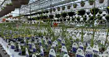 Saskatchewan eager to jump into spring activities