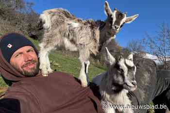 Frederik (40) richt gastenverblijf met geitjes op in de bergen van Albanië: “Er gaat geen dag voorbij of ze doen me lachen”