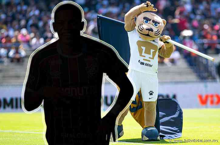 Pumas tiene en la mira a una joya brasileña