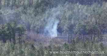 WATCH: First blaze tears through country park as wildfire warning issued