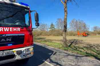 FW Flotwedel: Baumunfall bei Langlingen / Feuerwehr befreit Fahrer aus PKW