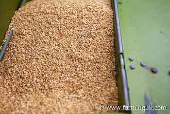 Growers refuse to load milling wheat out of stores in 'strike' action