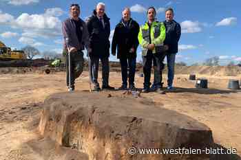 434 Funde in Delbrück-Bentfeld