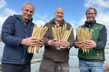 Auf geht's in die Spargelsaison