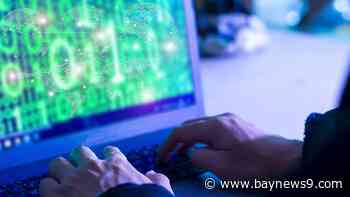 Scammers pose as vendors, steal $800k from Citrus County schools