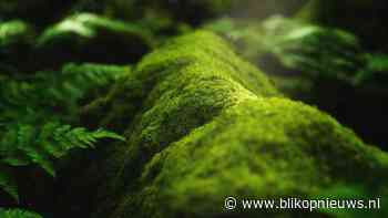 Natuurvergunningen terecht niet ingetrokken