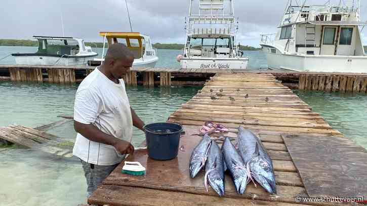 Vissers Bonaire vangen steeds minder vis