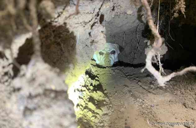 FW Ludwigshafen: Tierrettung (Hund in Fuchsbau eingeklemmt) in Ludwigshafen im Stadtteil Süd