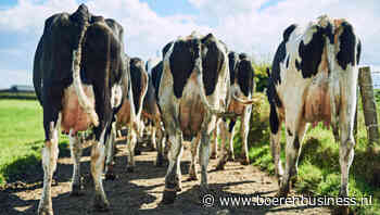 Droog voorjaar zorgt tot op heden vooral voor gemak