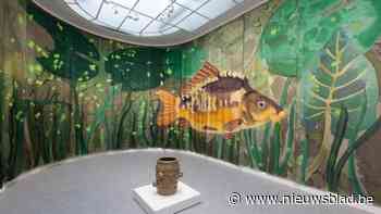 In nieuwe expo’s in Hasselt kan je snorkelen tussen reusachtige vissen en kruip je in bed met topkunstenaar