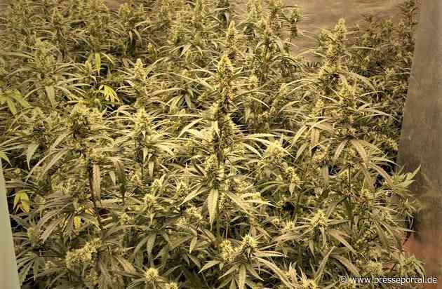 POL-K: 250401-6-K KK 23 Organisierte Kriminalität: Haftbefehle vollstreckt, Drogen und Schusswaffen sichergestellt - Fotos