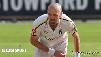 Bears must spread wickets around - Hannon-Dalby