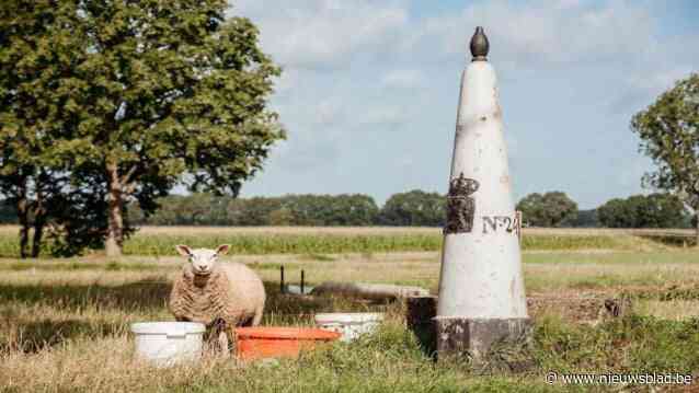 Communicatiebureau moet gemeente laten uitgroeien tot sterk merk: “’Het is maar Essen’ willen we niet meer horen”