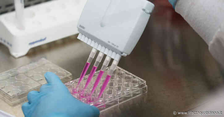 Nuovi farmaci a mRna autoreplicante: sembra un altro azzardo sull’altare dell’innovazione a ogni costo