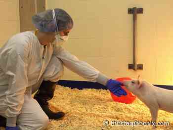 Photos: University of Saskatchewan's 2025 Images of Research contest winners