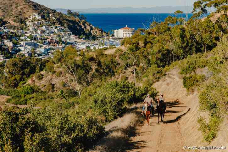Years after the last public ride, visitors can now hop on a horse on Catalina Island
