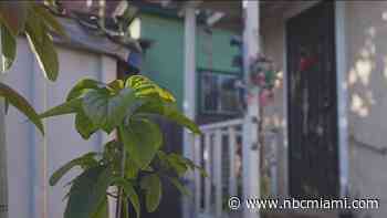 What happens to people's assets if they are deported?