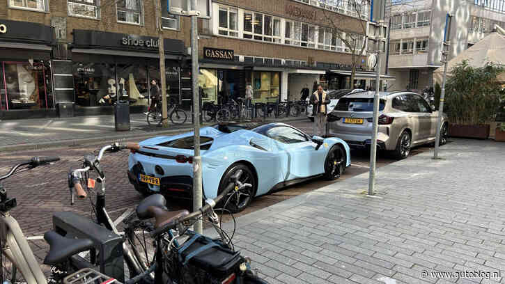 Deze exoten verschenen in februari op kenteken!