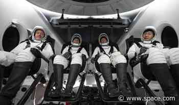 Cryptocurrency billionaire watches SpaceX rocket launch on the way to his own SpaceX rocket launch