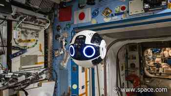 Floating blue-eyed robot keeps watch on the ISS: Space photo of the day