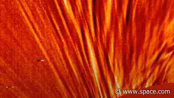 Million-mile-long solar whirlwind could help solve sun's greatest mysteries (video)