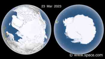 Earth's sea ice hits all-time low, NASA satellites reveal