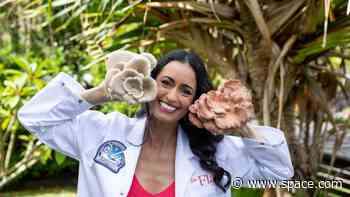 SpaceX's Fram2 astronaut flight over Earth's poles will be the 1st to grow mushrooms in space