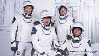 X-rays, mushrooms and more: The science riding on SpaceX's Fram2 astronaut mission around Earth's poles