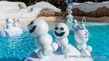 Disney World’s ‘Blizzard Beach,’ ‘Typhoon Lagoon’ to both be open this summer