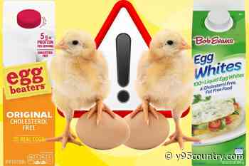 FDA Recalls 200,000 Pounds of Liquid Egg Product for an Extremely Alarming Reason