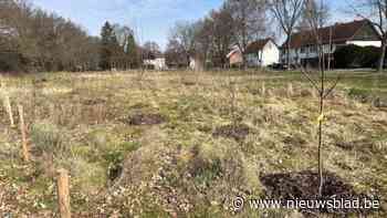 Kritiek op toestand voedselbos in Termien: “Het ziet er nu misschien niet uit, maar dat hoort zo”