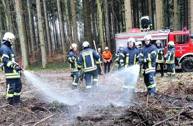 FW Eigeltingen: Feuerwehr-Abteilungen Honstetten, Reute und Eigeltingen werden zu Brand im Wald alarmiert