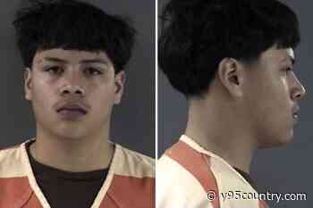 Cheyenne Man Hit With Felony After Taking Grandma's Kia, Crashing