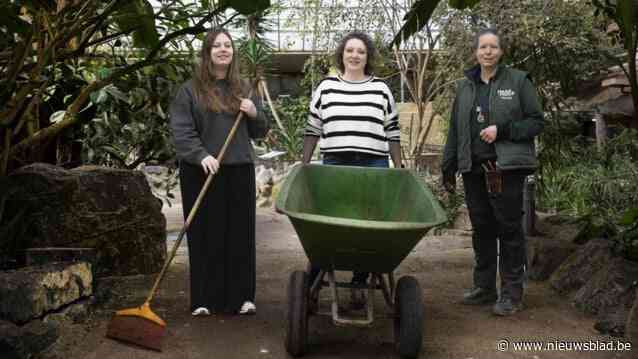 Molse leerlingen die zich misdroegen tijdens uitstap in dierentuin, helpen in Pakawi Park als straf: “Zo leren ze iets bij”