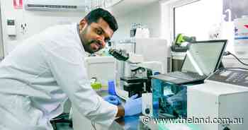 What's the latest in sexed semen, and will it work in commercial beef herds?